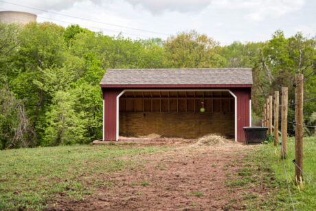 buy a horse run in shed nj pa