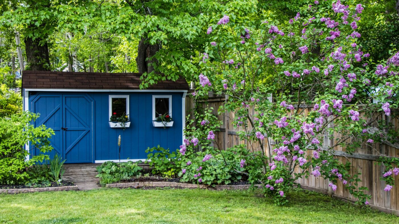 shed landscaping 
