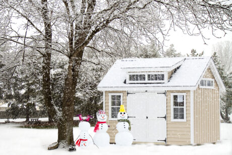 Premier Workshop Shed Photo Gallery 10 sheds for sale toms river