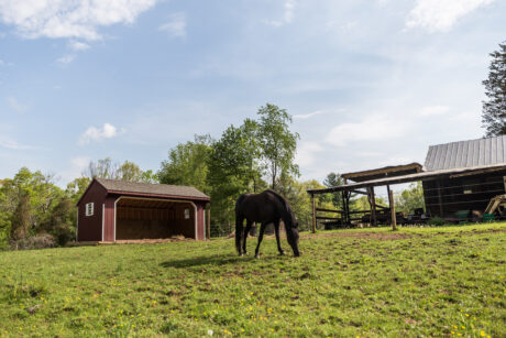 Equine Shelter Photo Gallery 3 horse run in sheds de