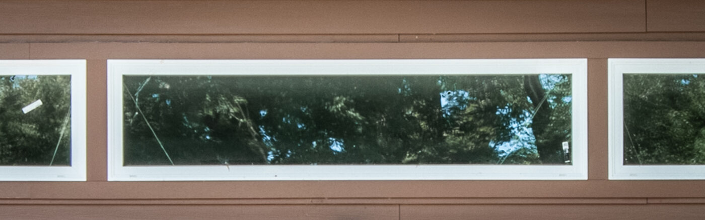 transom windows 4
