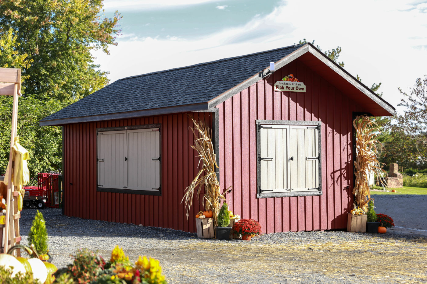 custom built sheds for more space