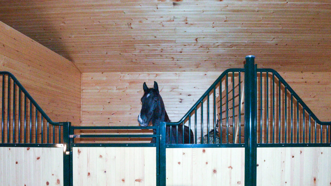horse in barn garage
